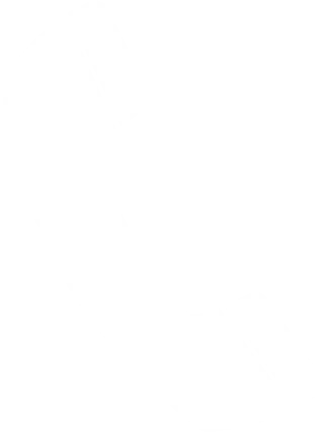 Thorp Dairy Days City of Thorp